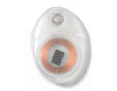 Badge Transparent